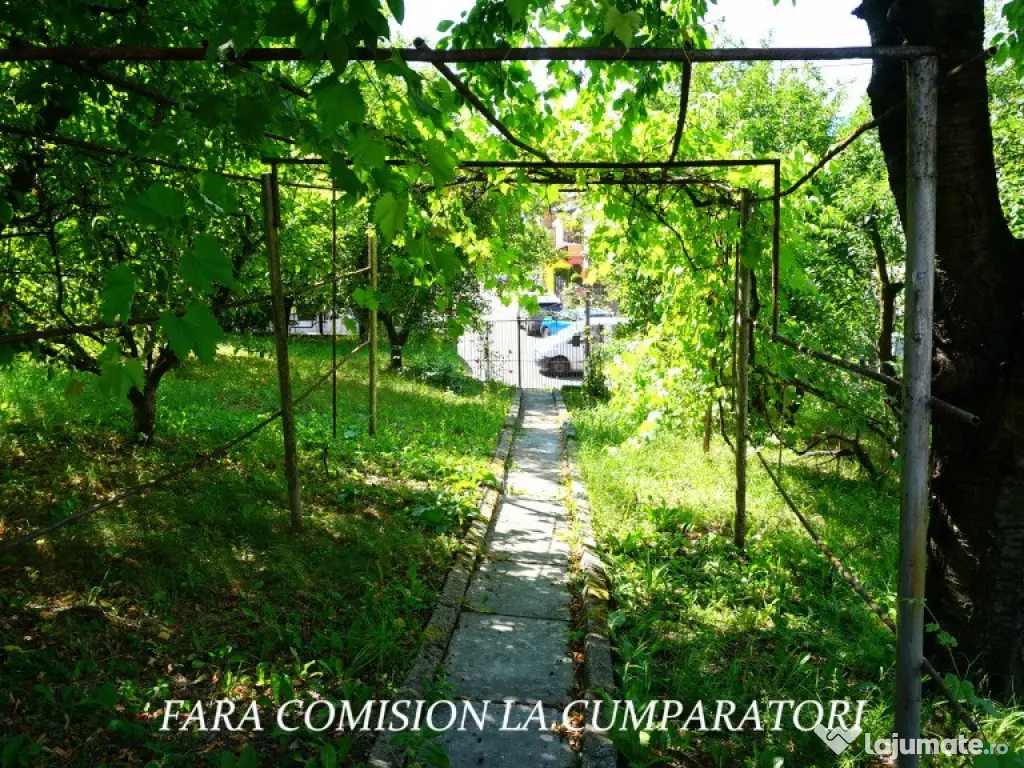 ANL- MORILOR, TEREN 635 MP 