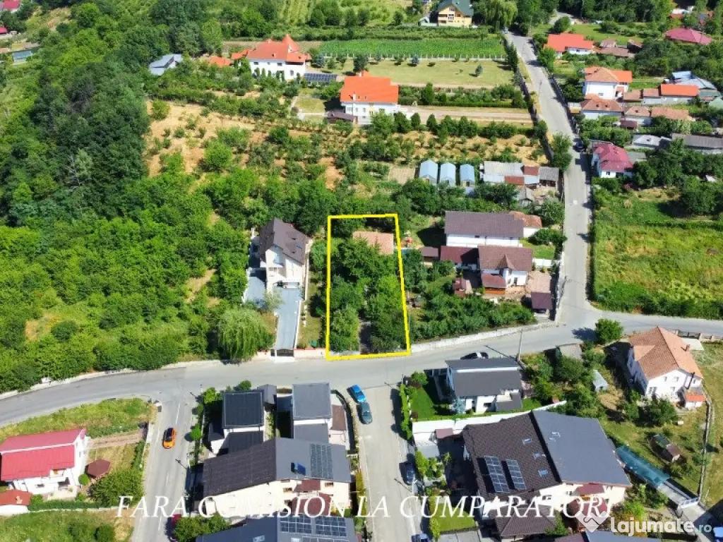 ANL- MORILOR, TEREN 635 MP 