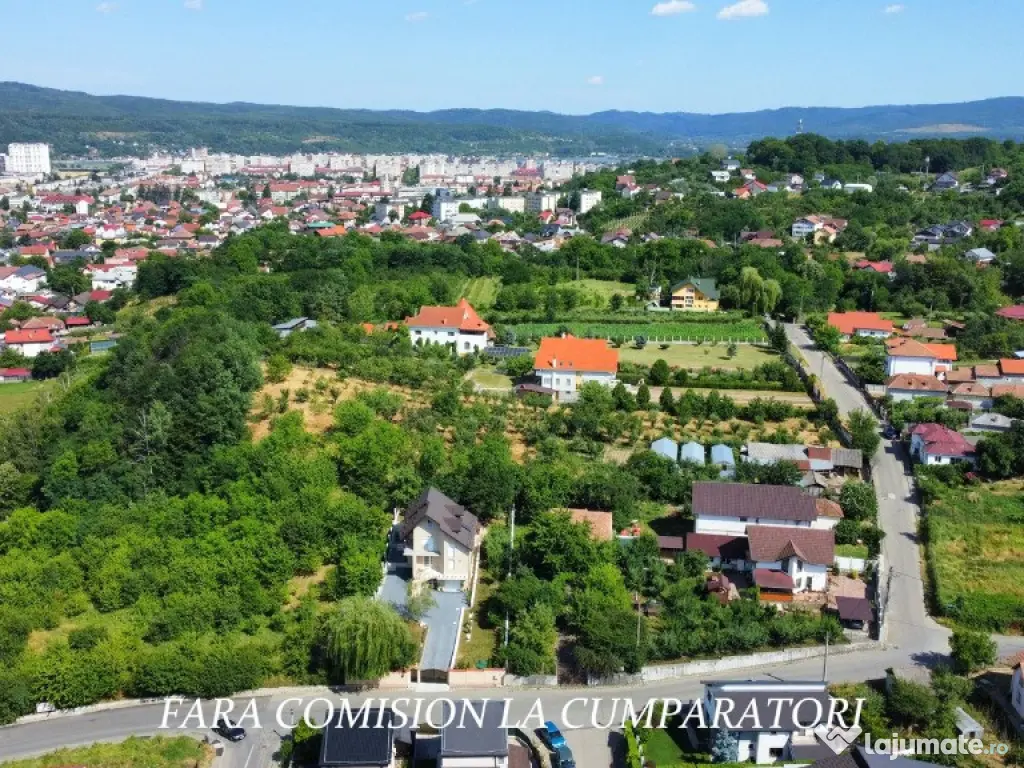 ANL- MORILOR, TEREN 635 MP 