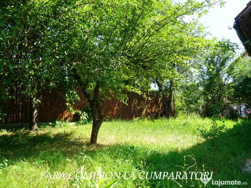 ANL- MORILOR, TEREN 635 MP 