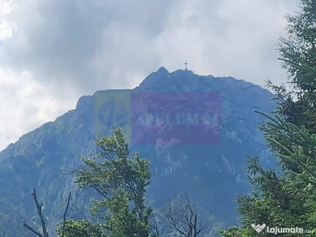 Vila de vacanta de vanzare in Busteni - Zona Zamora 