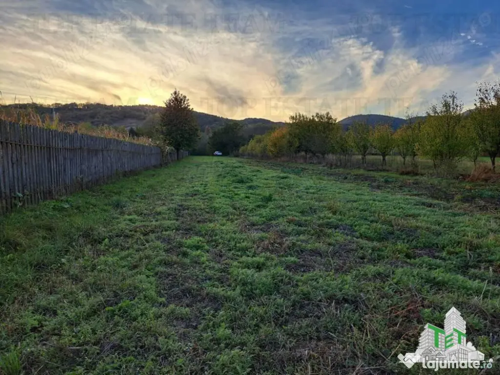 Teren de / Maneciu Pamanteni