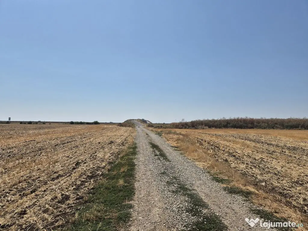 Teren intravilan 4428 mp - Balotesti 