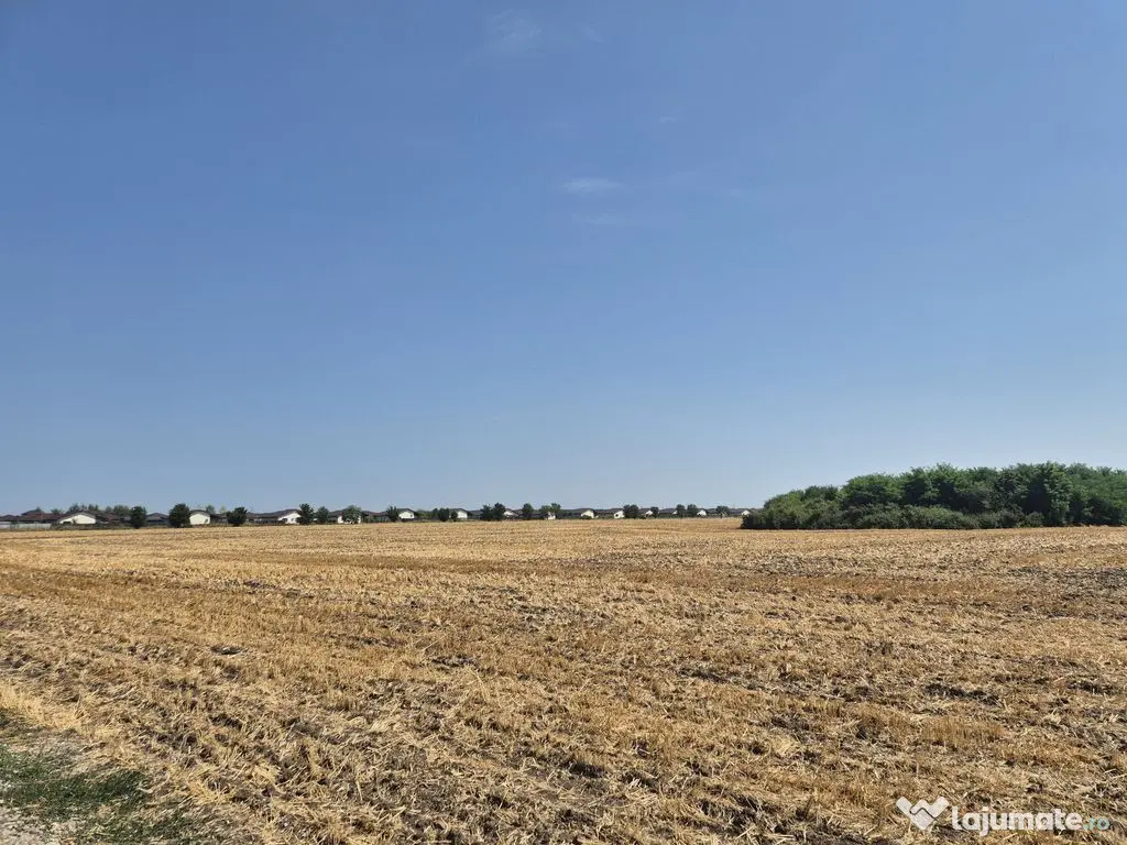 Teren intravilan 4428 mp - Balotesti 