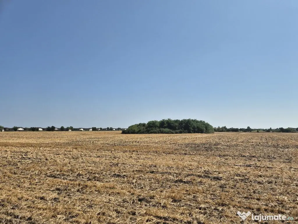 Teren intravilan 4428 mp - Balotesti 