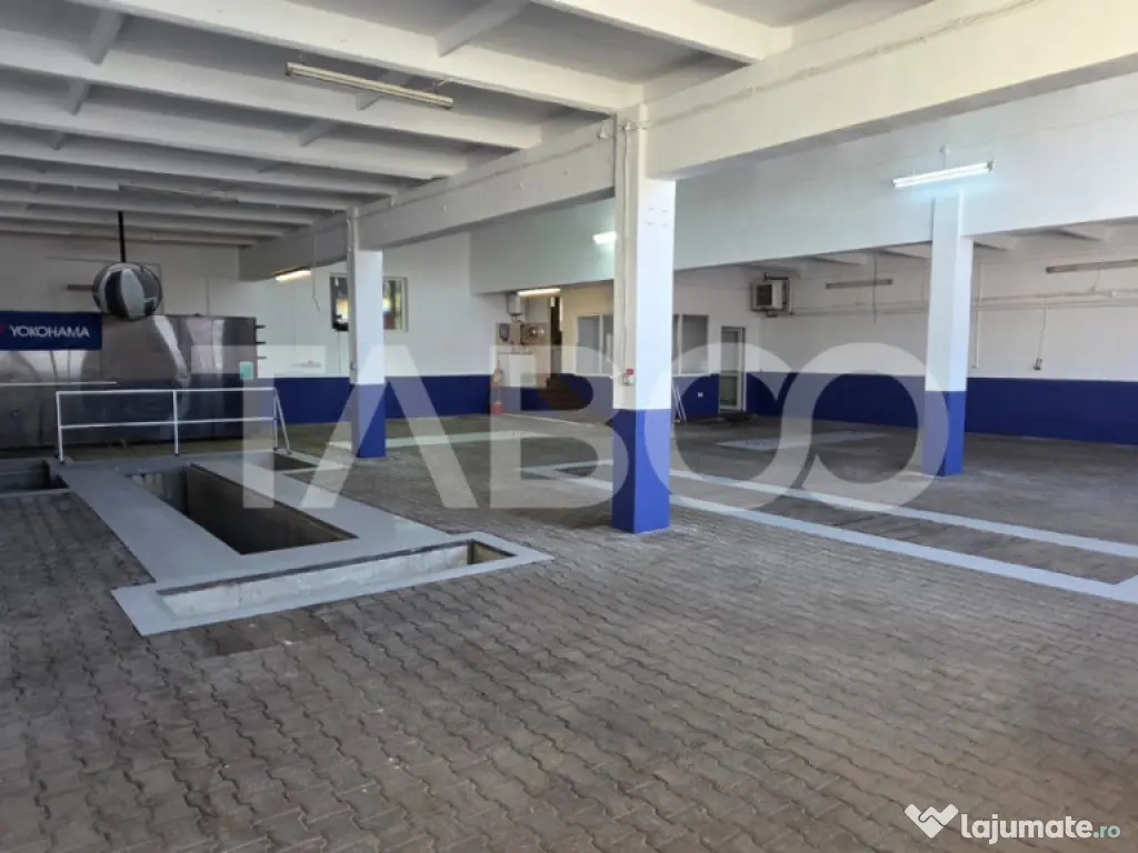 Spatiu industrial de 300 mp de inchiriat in Sebes Alba