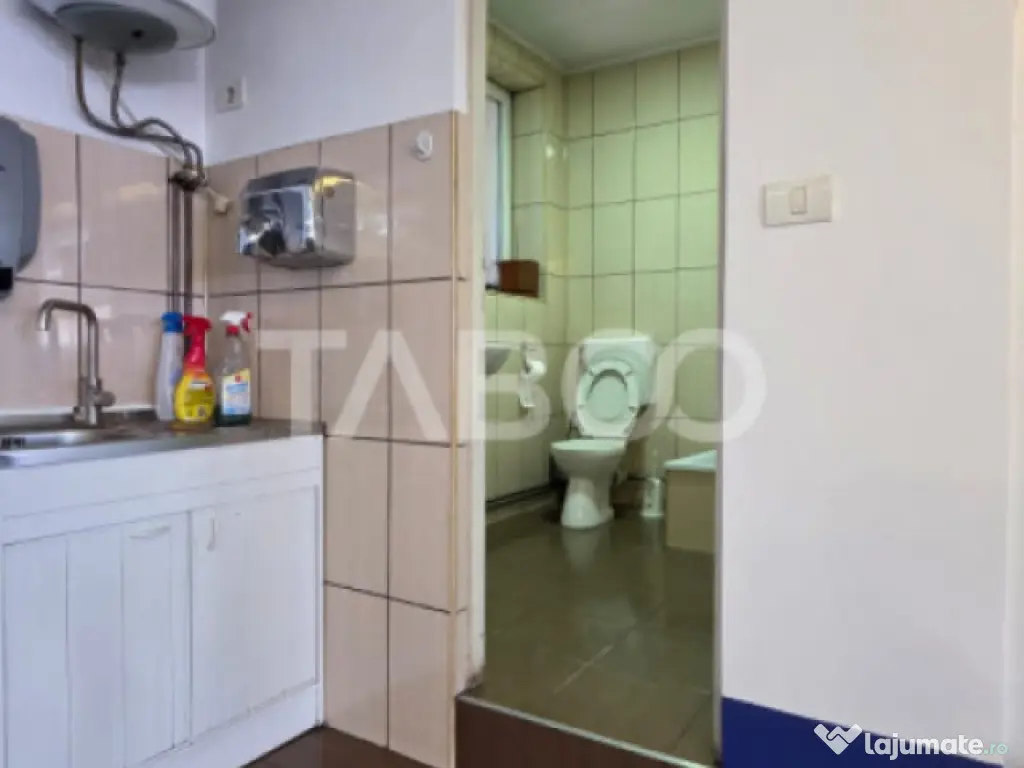 Spatiu industrial de 300 mp de inchiriat in Sebes Alba