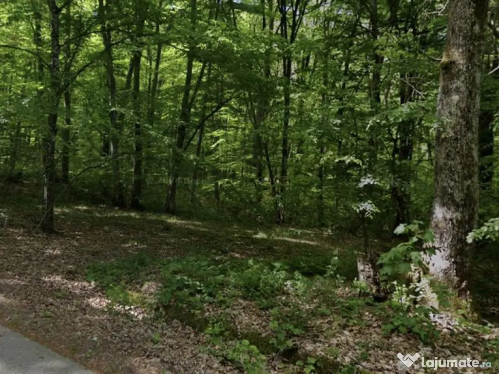 Teren extravilan, livada, Lăzăreni. 22 500 E. Comision 0 