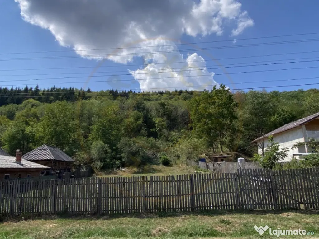 Teren 4000 mp intravilan loc. Aninoasa, jud Arges. Comision