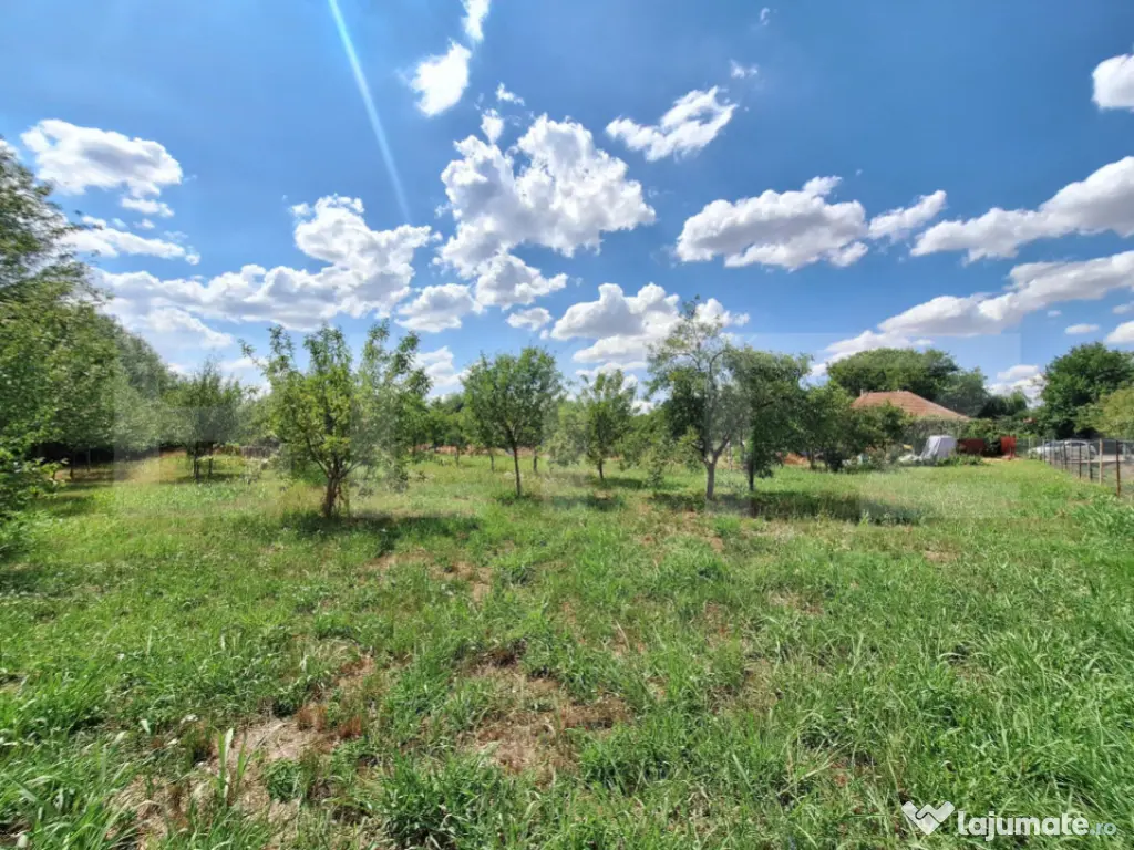 Teren intravilan, 4600 mp, dezvoltari imobiliare, Timisoara