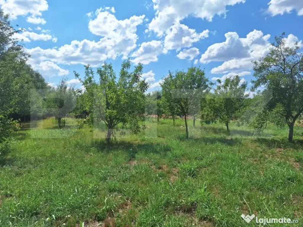 Teren intravilan, 4600 mp, dezvoltari imobiliare, Timisoara