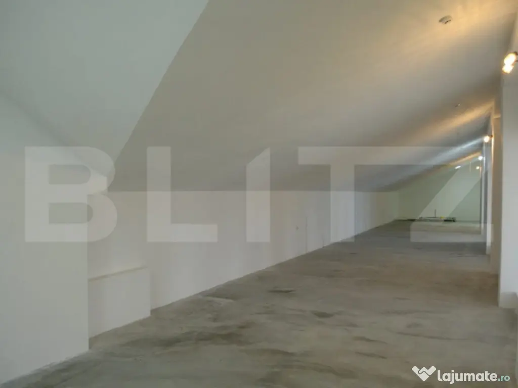 Spatiu industrial, 1890 mp + teren 10450 mp, zona Burdujeni 