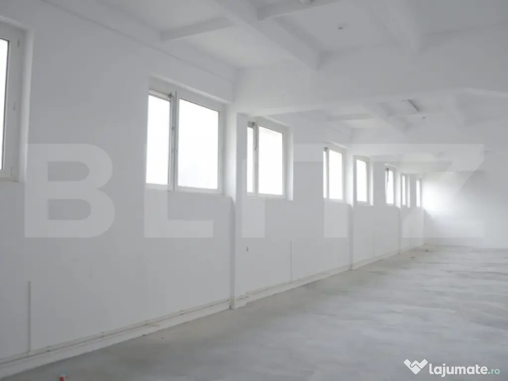 Spatiu industrial, 1890 mp + teren 10450 mp, zona Burdujeni 