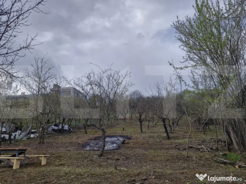 Teren intravilan Viisoara cu panorama asupra orasului- parce