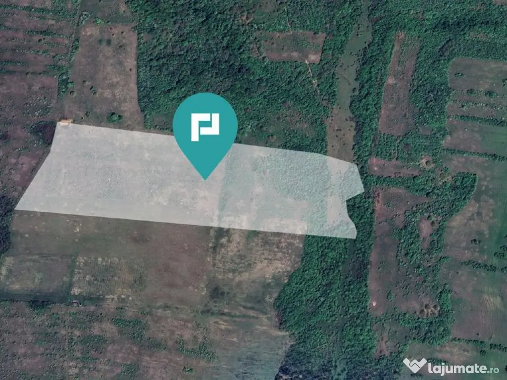 Teren arabil de 11,3 hectare în Bara, Timiș 