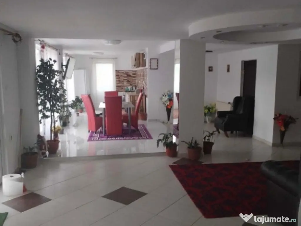 Spatiu comercial langa Termocentrala Mintia 