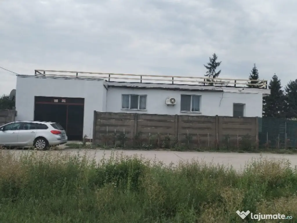 Spatiu comercial langa Termocentrala Mintia 