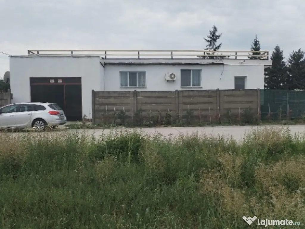 Spatiu comercial langa Termocentrala Mintia 