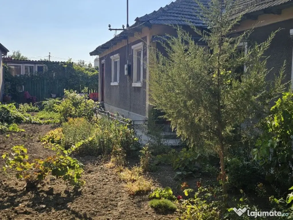 Casa la pretul de Teren /Palzu Mare 