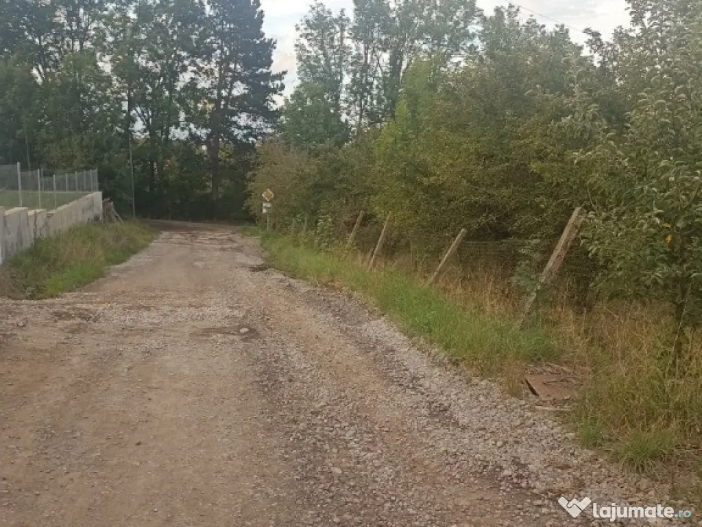 De vânzare terenuri intravilane pe strada Nucului în Sfântu Gheorghe
