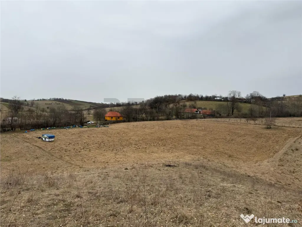 RECO , teren intravilan in Tomnatic, Vadu Crisului 