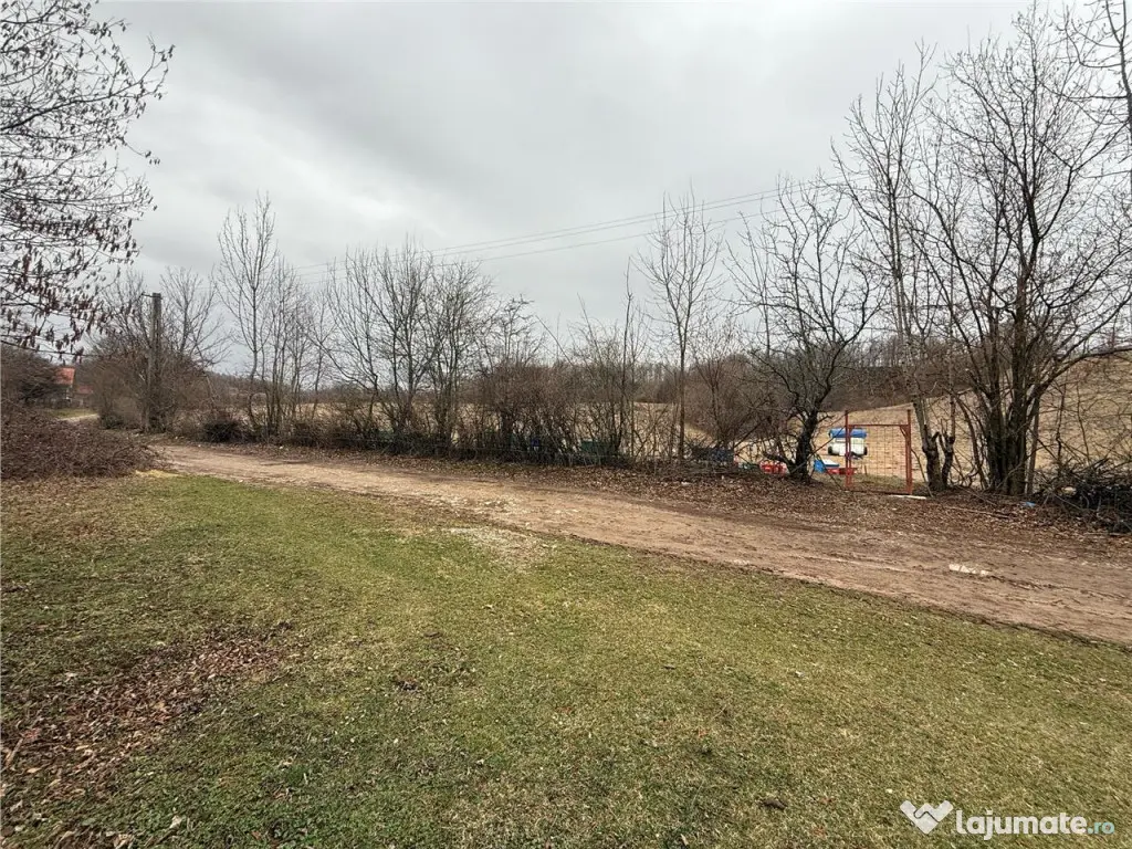 RECO , teren intravilan in Tomnatic, Vadu Crisului 