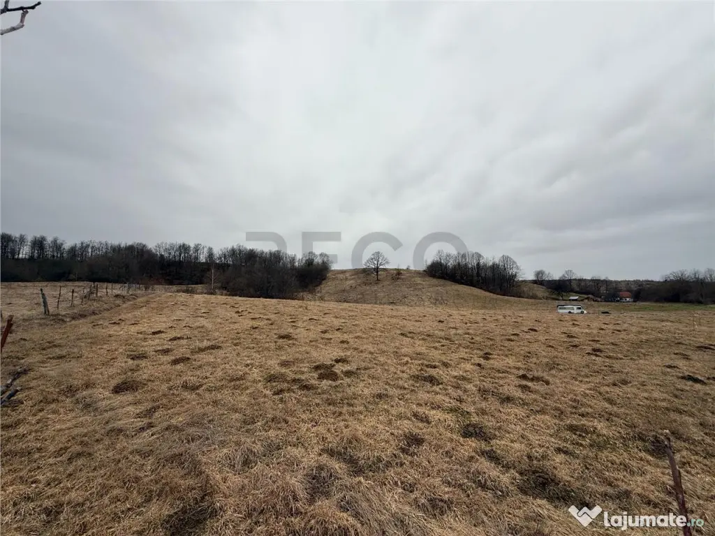 RECO , teren intravilan in Tomnatic, Vadu Crisului 