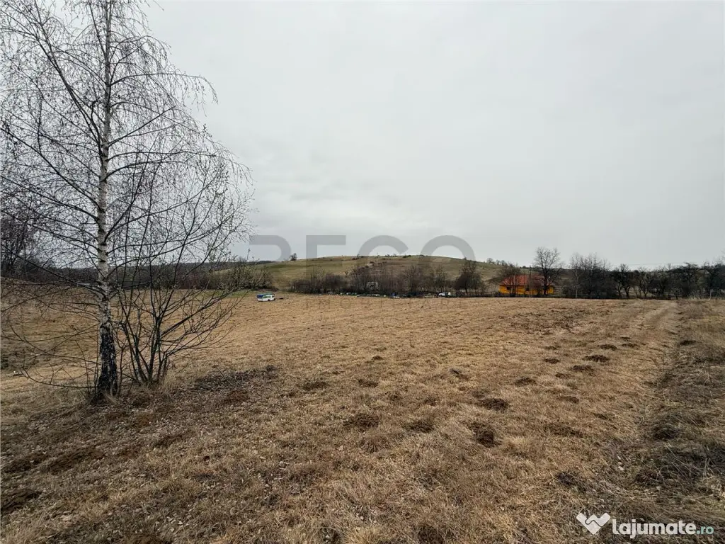 RECO , teren intravilan in Tomnatic, Vadu Crisului 