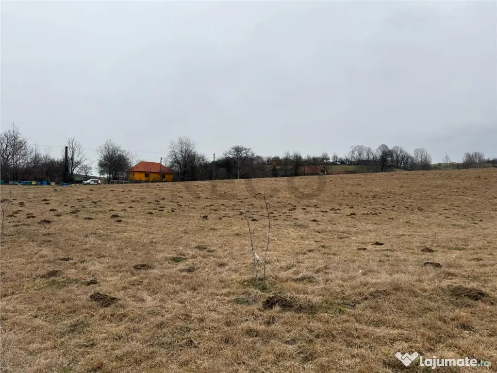 RECO , teren intravilan in Tomnatic, Vadu Crisului 