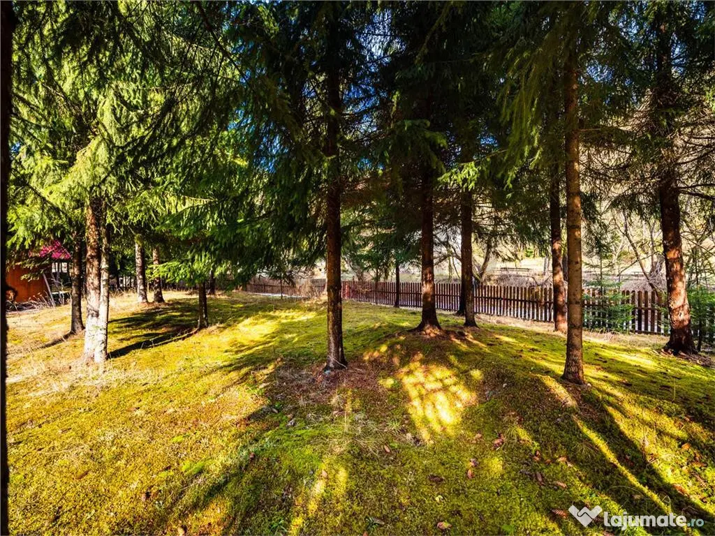 Pensiune cu 10 camere si 3700 mp teren, Arieseni