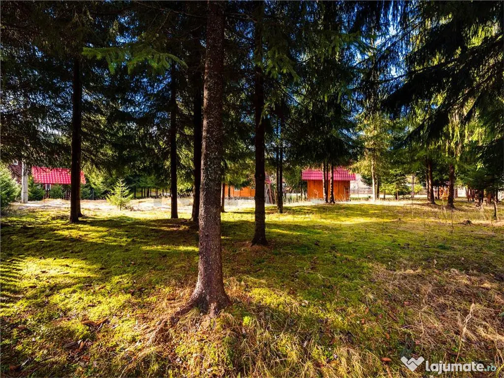 Pensiune cu 10 camere si 3700 mp teren, Arieseni
