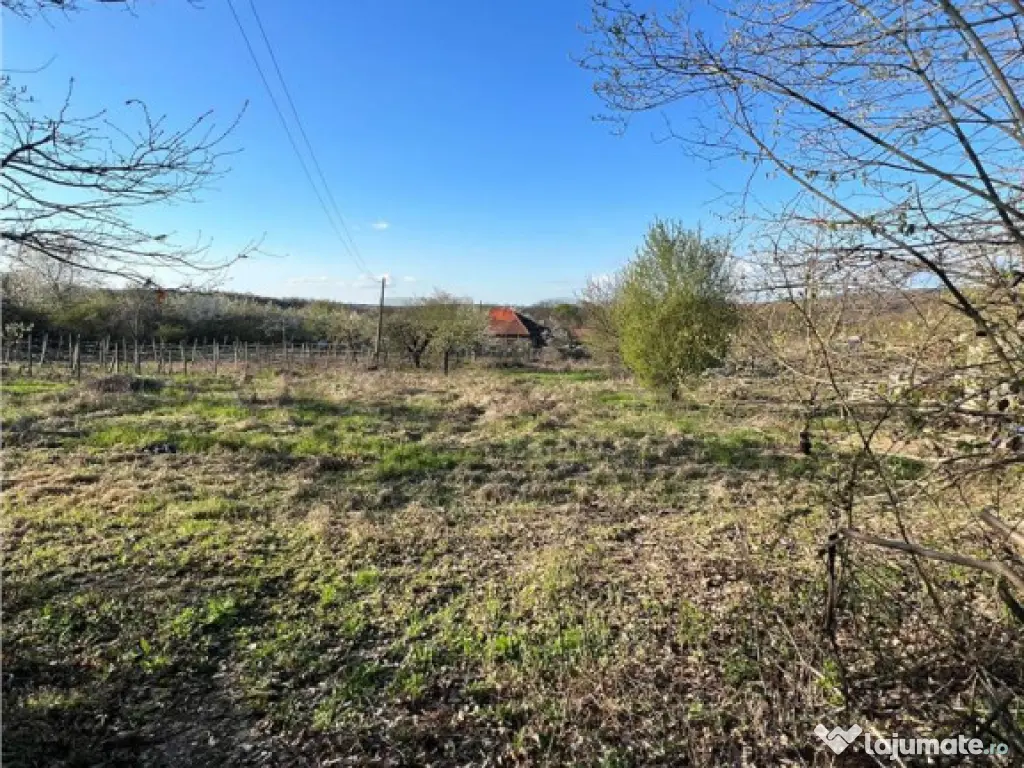 RECO teren de in zona de Dealuri Oradea 