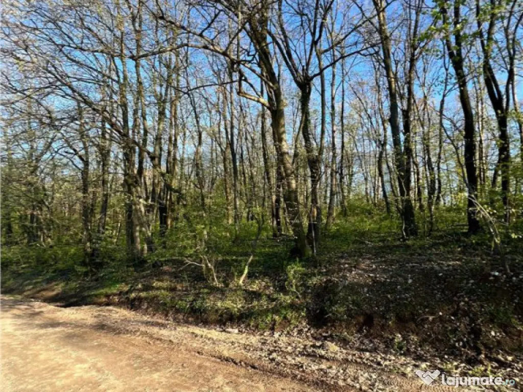 RECO teren de in zona de Dealuri Oradea 