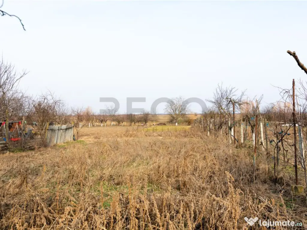 RECO Casa cu teren 3036mp, Bors 