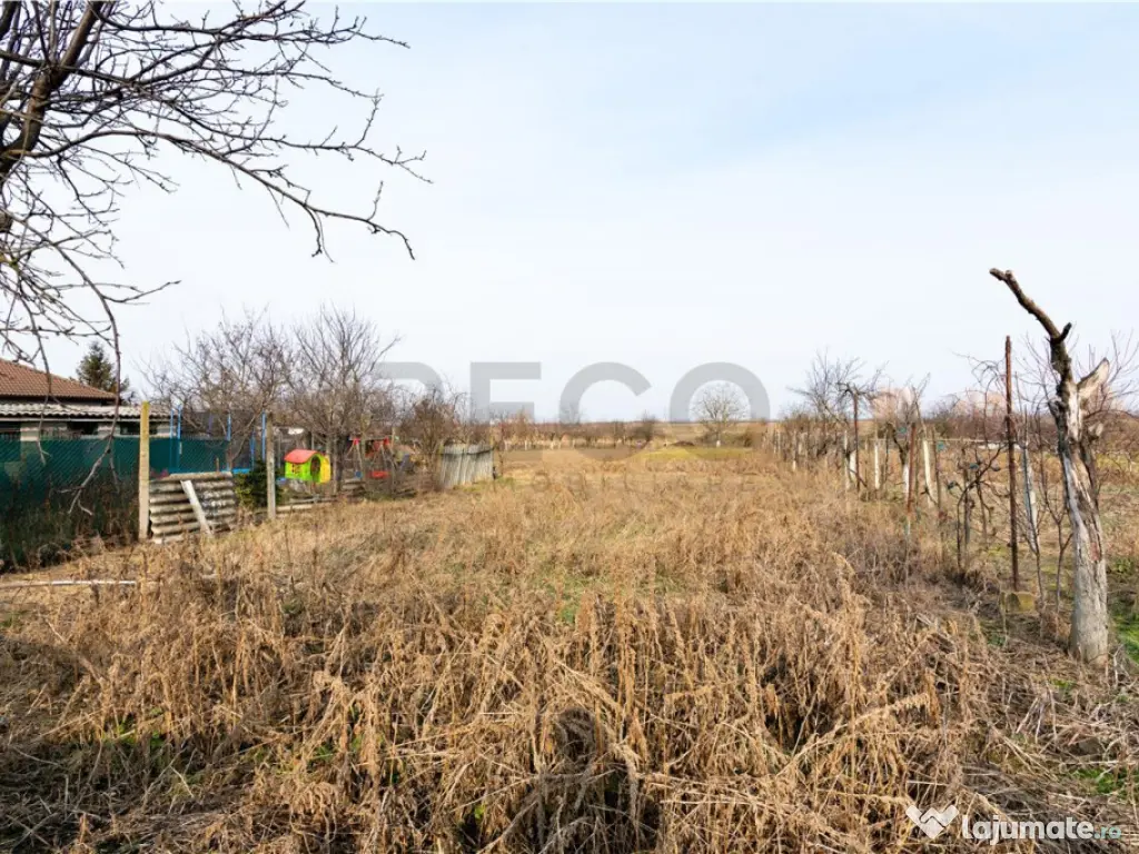RECO Casa cu teren 3036mp, Bors 