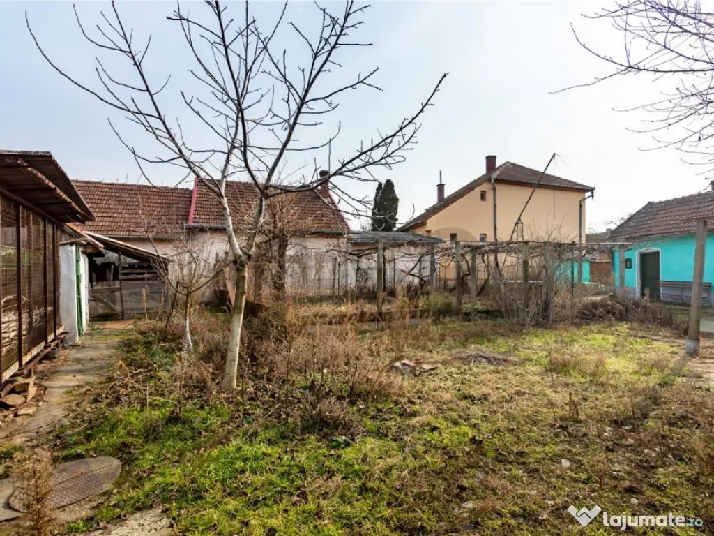 RECO Casa cu teren 3036mp, Bors 