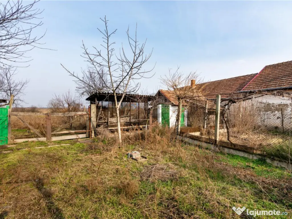 RECO Casa cu teren 3036mp, Bors 