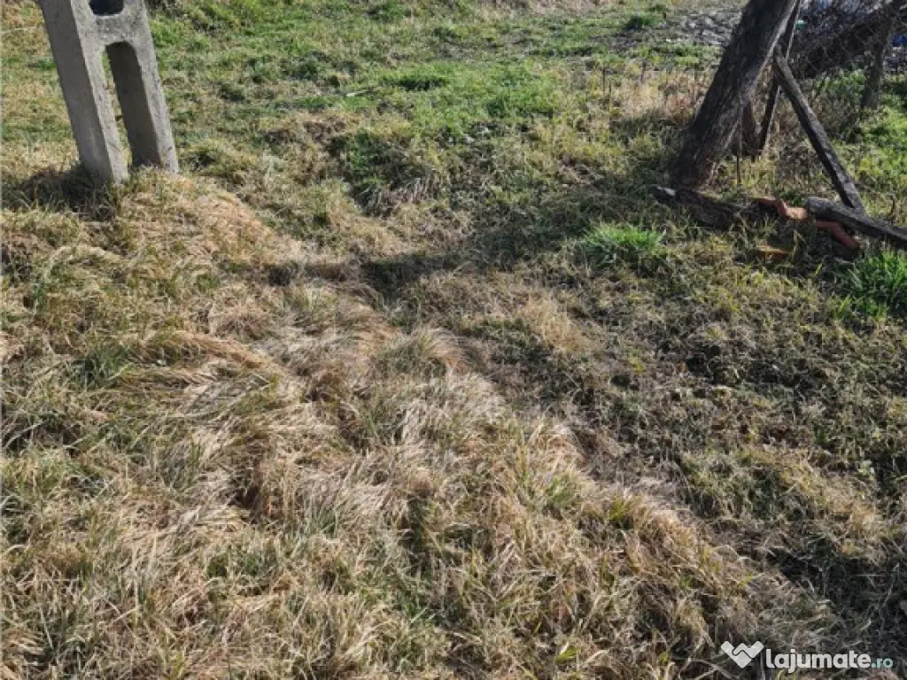 RECO Casa in Ungaria cu teren generos 