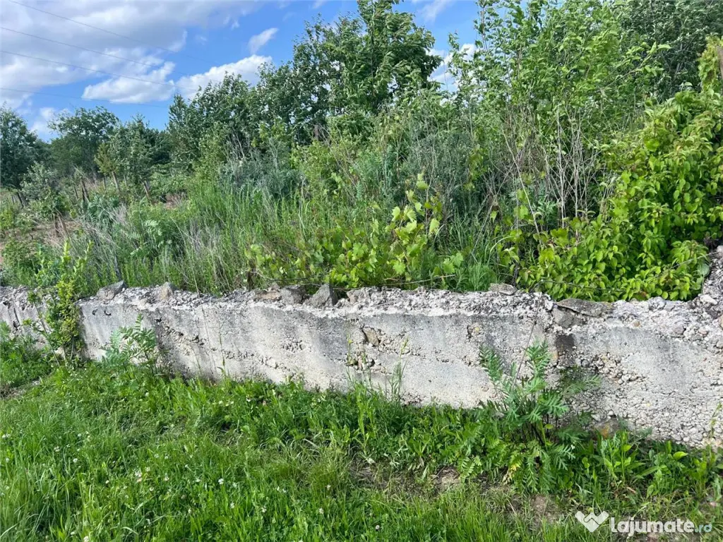 RECO TEREN CU FUNDATIE IN PETREU 