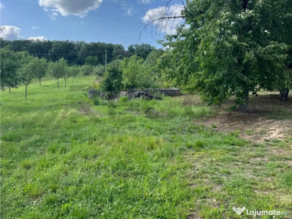 RECO TEREN CU FUNDATIE IN PETREU 