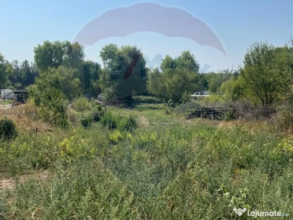 Teren de vanzare / 2,500 mp pe Malul Lacului Tancabesti /... 