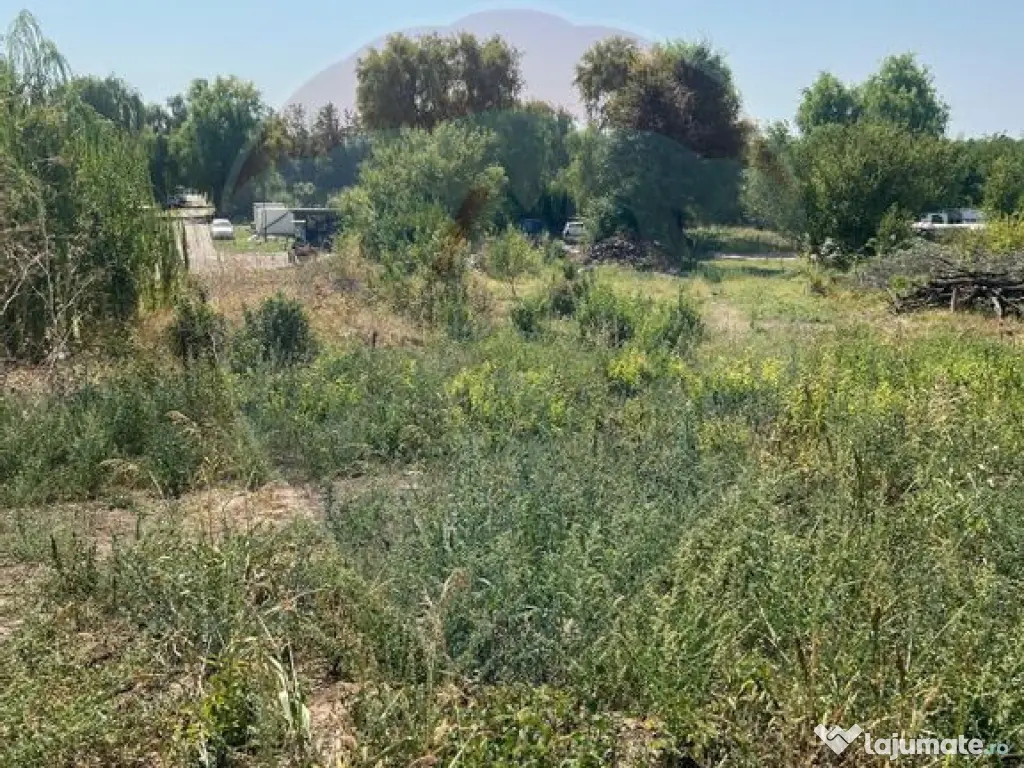 Teren de vanzare / 2,500 mp pe Malul Lacului Tancabesti /... 