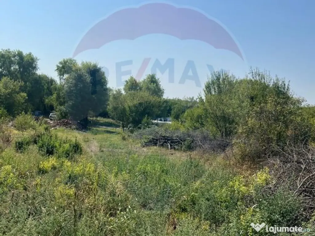 Teren de vanzare / 2,500 mp pe Malul Lacului Tancabesti /... 