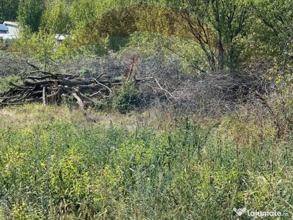 Teren de vanzare / 2,500 mp pe Malul Lacului Tancabesti /... 