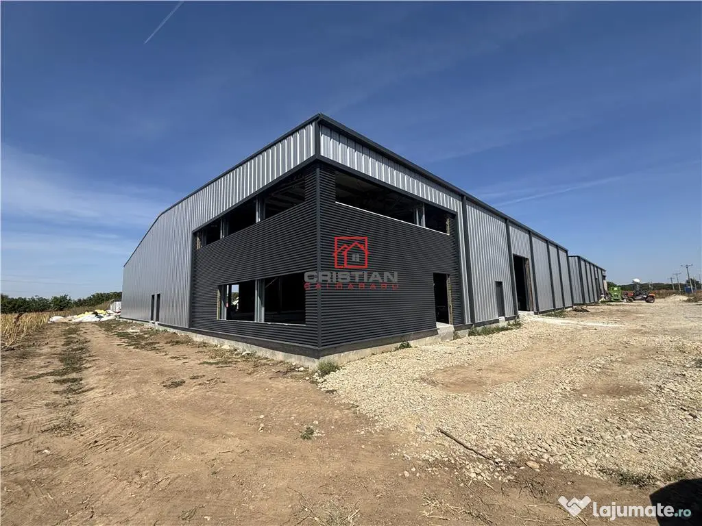 Depozit/hala/spatiu industrial Mogosoaia - Buftea 