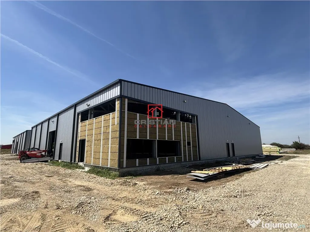 Depozit/hala/spatiu industrial Mogosoaia - Buftea 