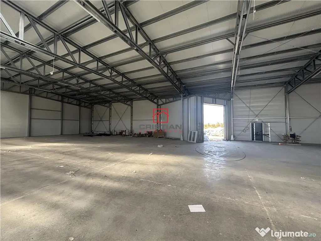 Depozit/hala/spatiu industrial Mogosoaia - Buftea 