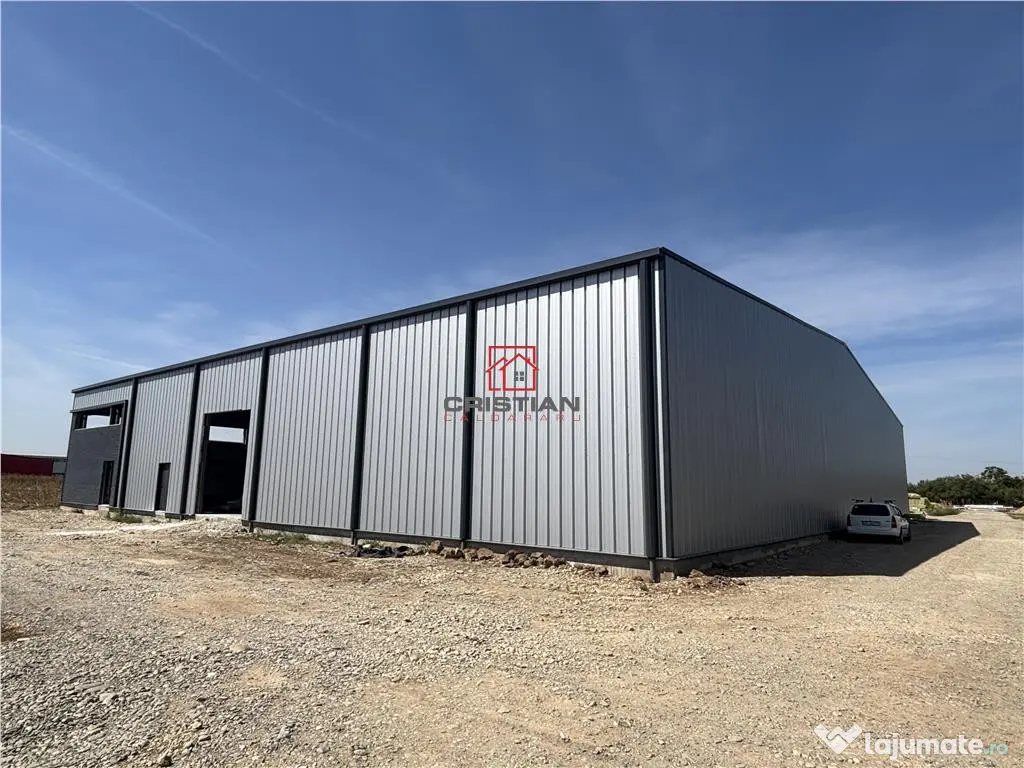 Depozit/hala/spatiu industrial Mogosoaia - Buftea 