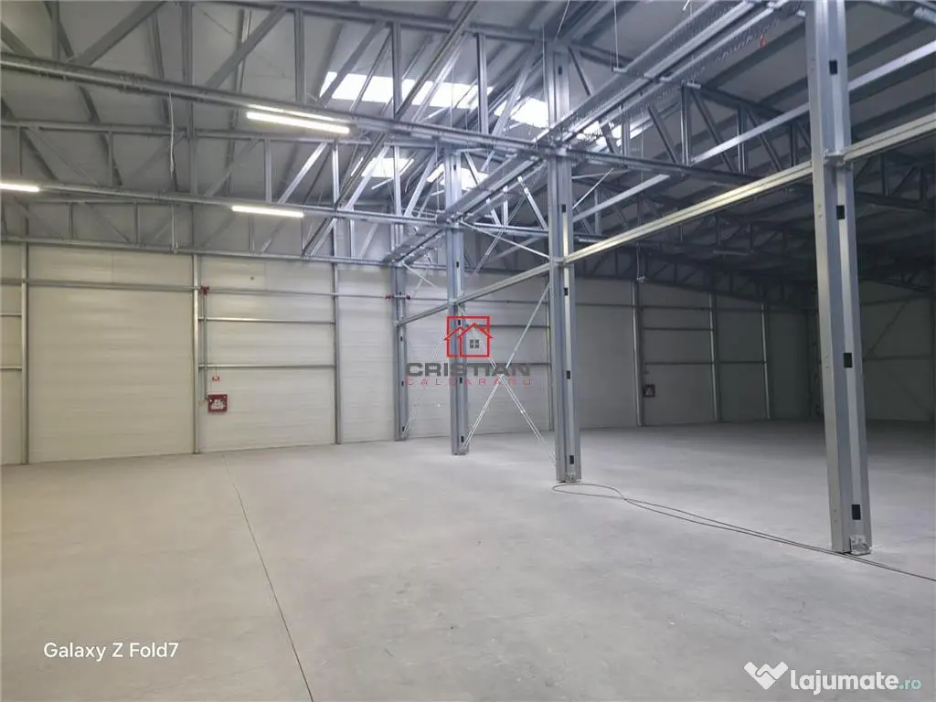 Depozit/hala/spatiu industrial Mogosoaia - Buftea