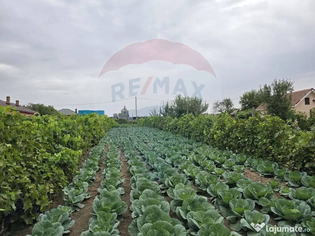 Casă / Vilă cu 5 camere de vânzare 